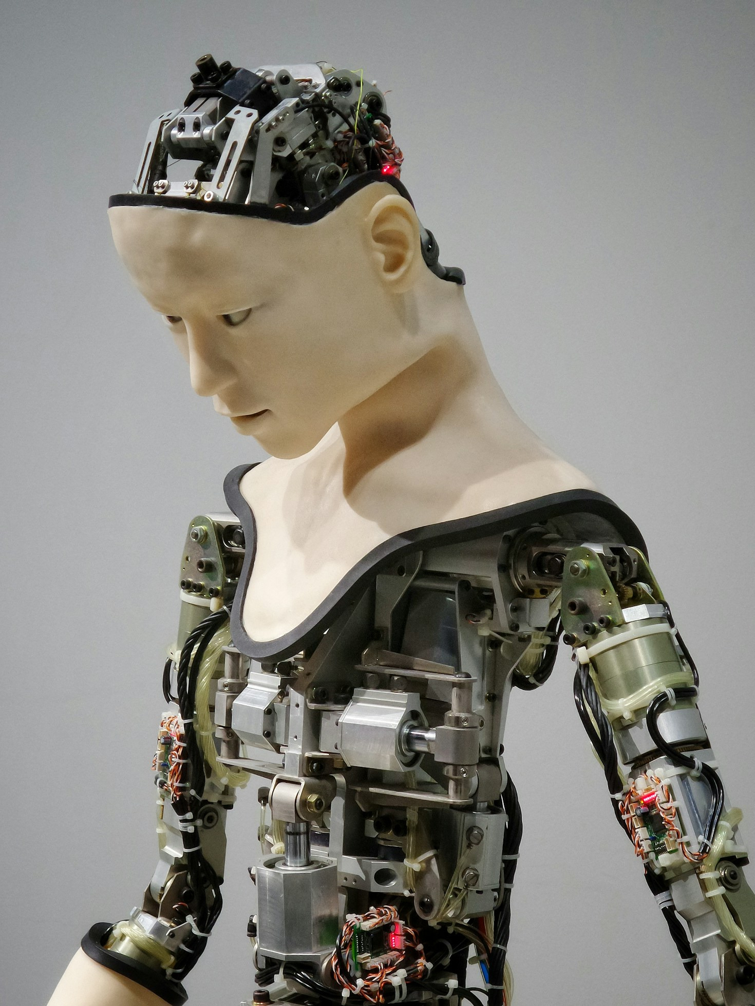 The Ultimate Guide to AI Software for Beginners